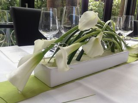 k-Blumen 2.JPG