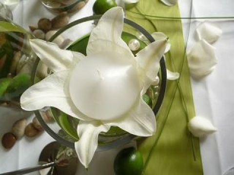 k-Blumen 51.JPG
