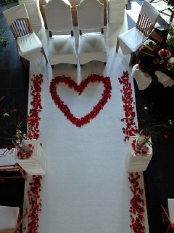 k-Traubereich 6 1.jpg