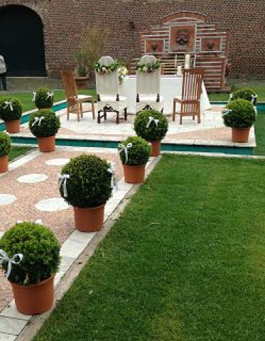 k-Traubereich 7 1.jpg